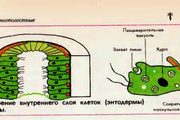 Сайт мега кракен