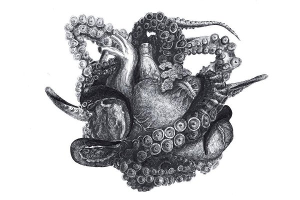 Kraken ссылка актуальная москва