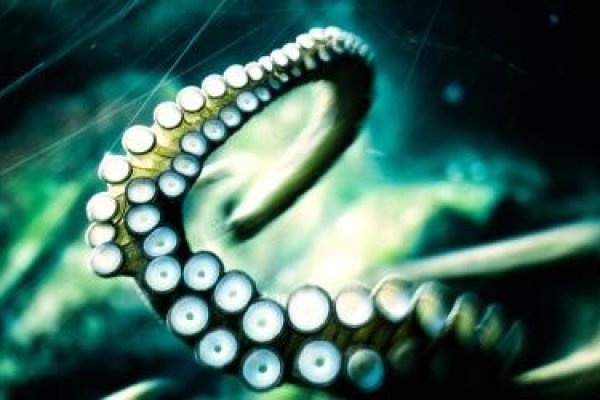 Kraken mirror