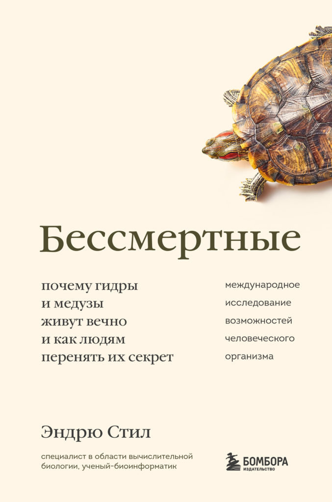 Kraken официальная ссылка tor